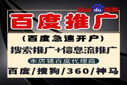 某行业领先企业背后的百度推广代理商策略
